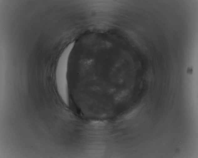 X0000094960818200712131643