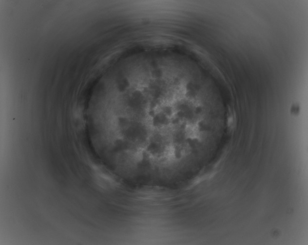 X0000094960819200712131643