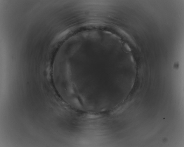 X0000094960822200712131643