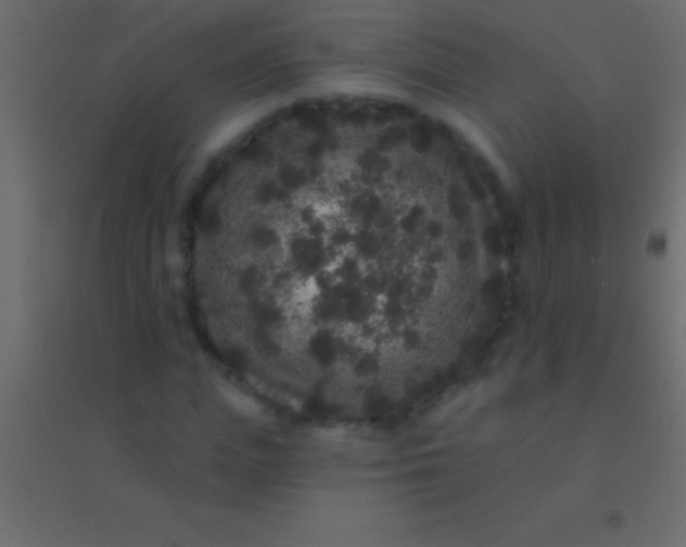 X0000094960823200712131643