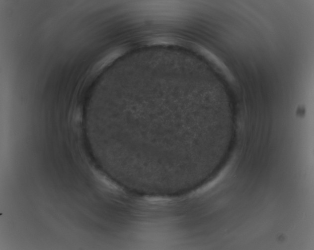 X0000094960825200712131643