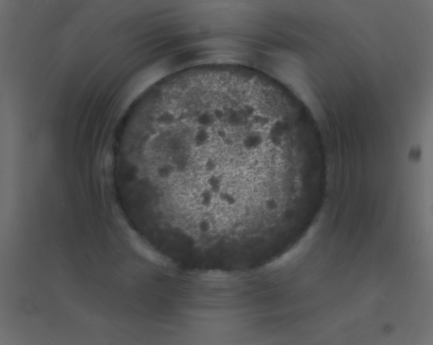 X0000094960827200712131643