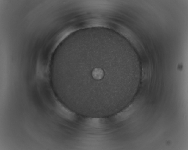 X0000094960828200712131643