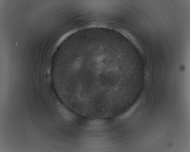 X0000094960830200712131643