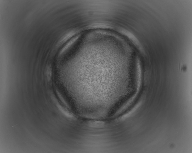 X0000094960833200712131643