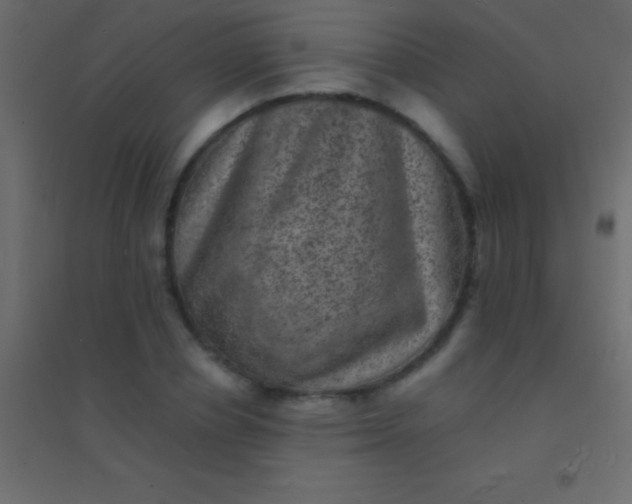 X0000094960834200712131643