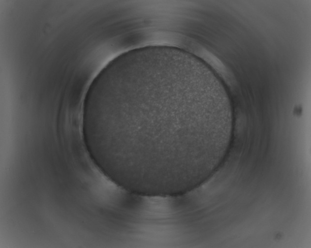 X0000094960836200712131643