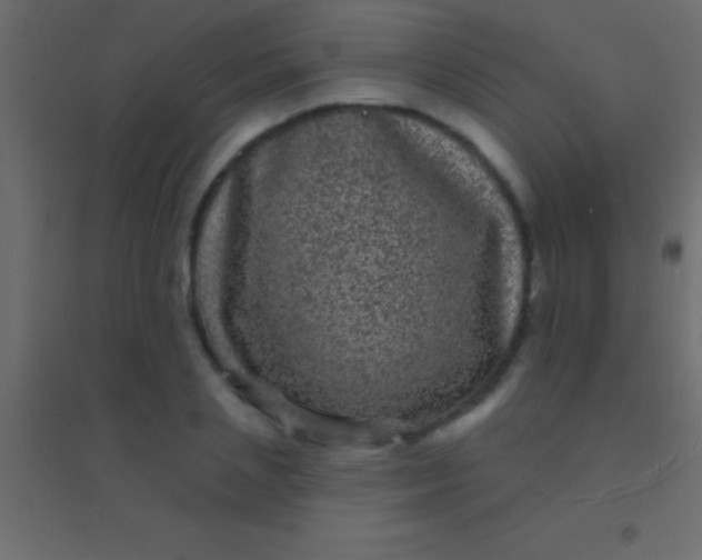 X0000094960837200712131643