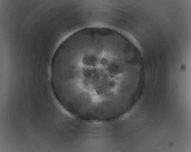 X0000094960839200712131643