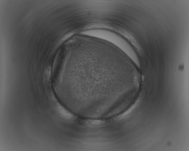 X0000094960841200712131643