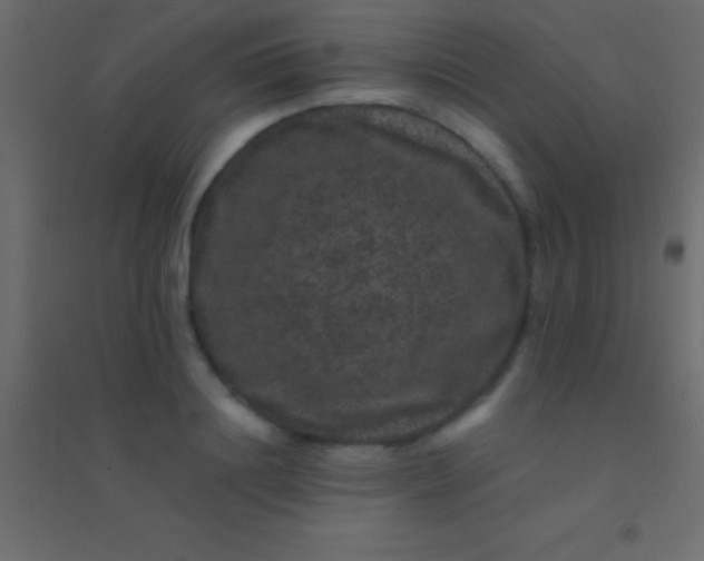 X0000094960844200712131643