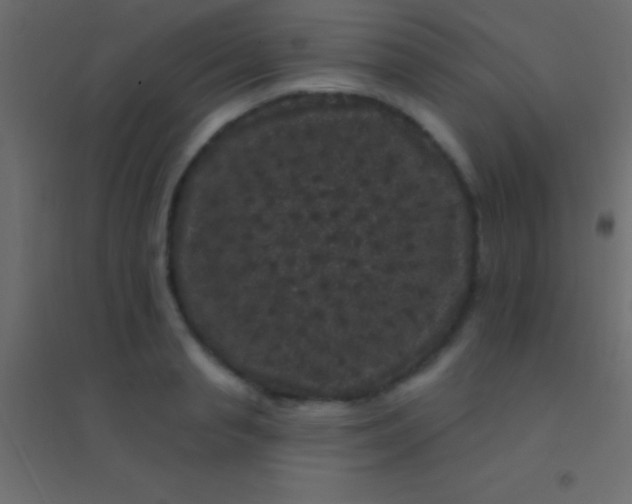 X0000094960845200712131643