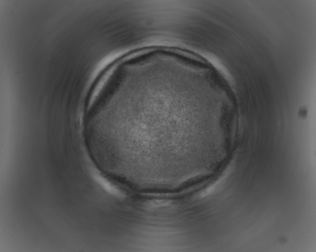 X0000094960846200712131643