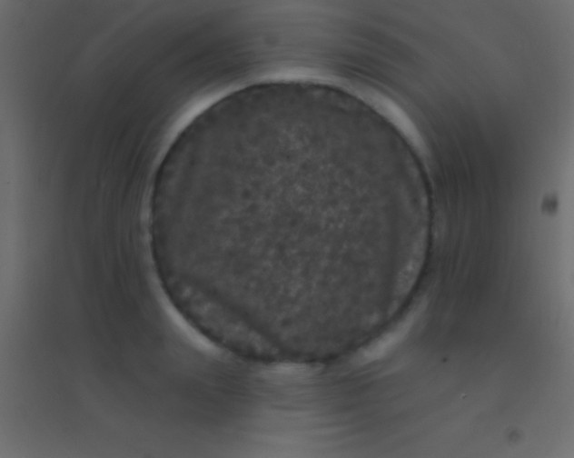 X0000094960847200712131643