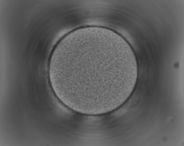 X0000094960848200712131643