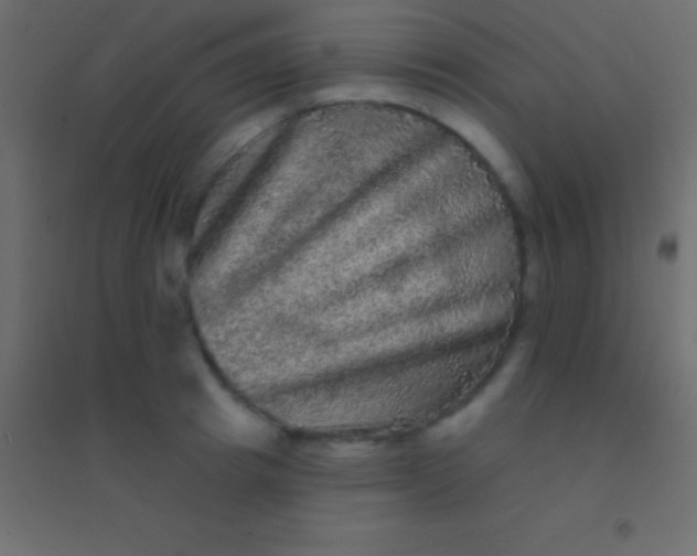 X0000094960849200712131643