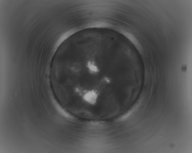 X0000094960850200712131643