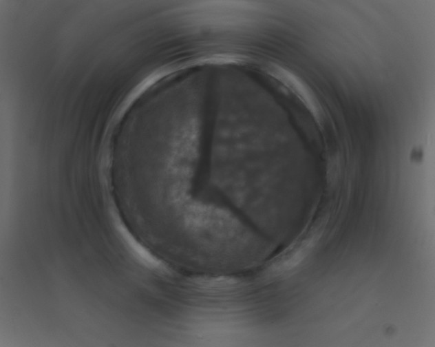 X0000094960851200712131643