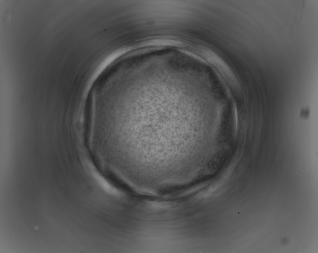 X0000094960852200712131643