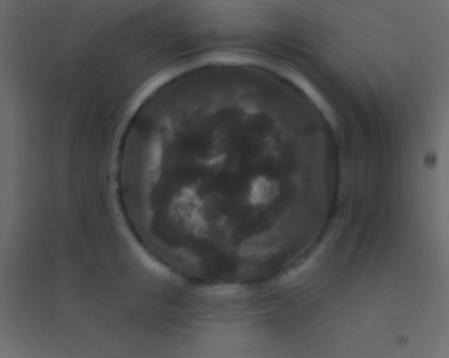 X0000094960853200712131643