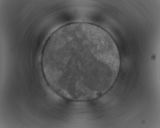 X0000094960856200712131643