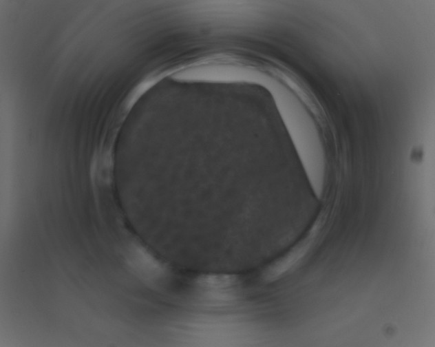 X0000094960858200712131643