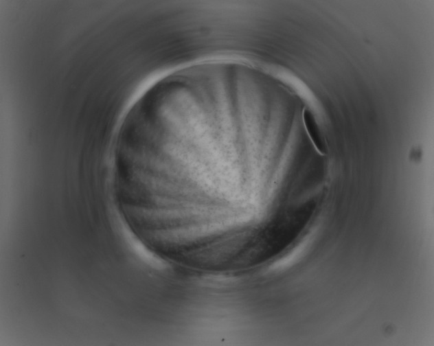 X0000094960860200712131643