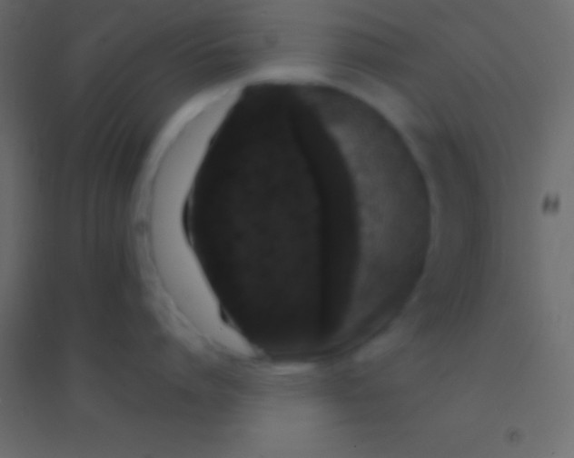 X0000094960864200712131643