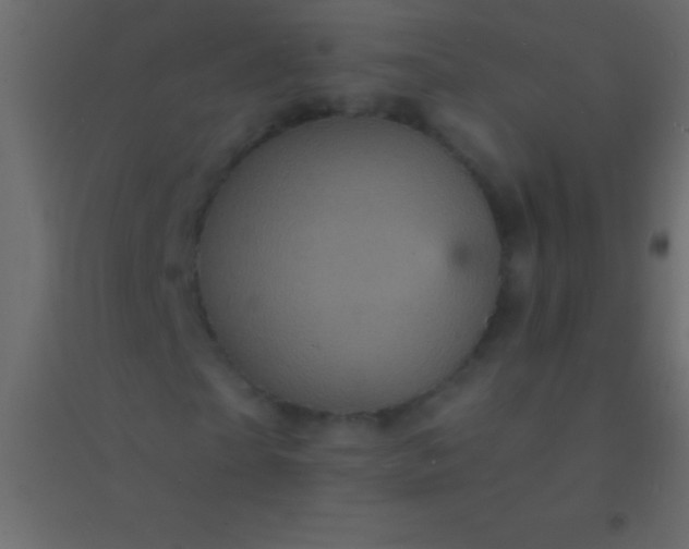 X0000094960865200712131643