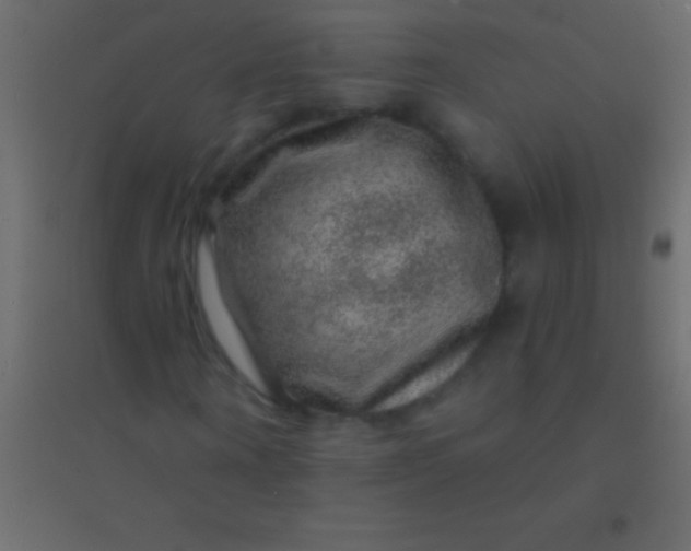 X0000094960866200712131643