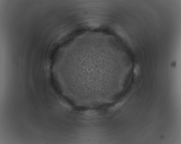 X0000094960867200712131643