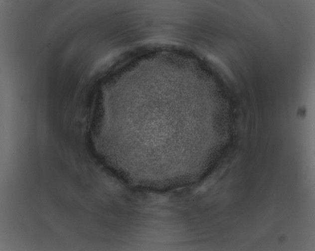 X0000094960870200712131643