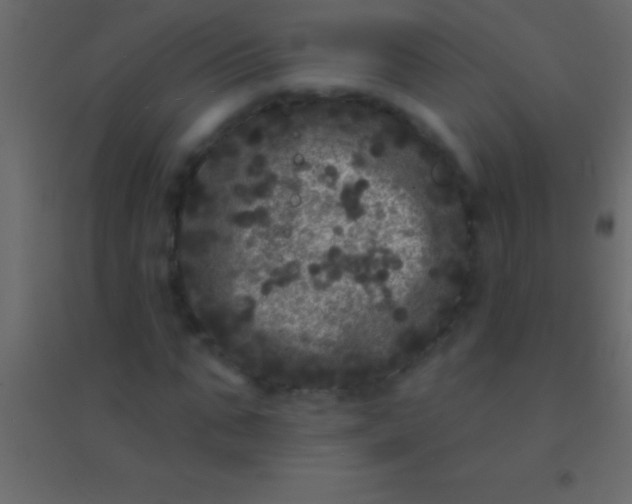 X0000094960871200712131643