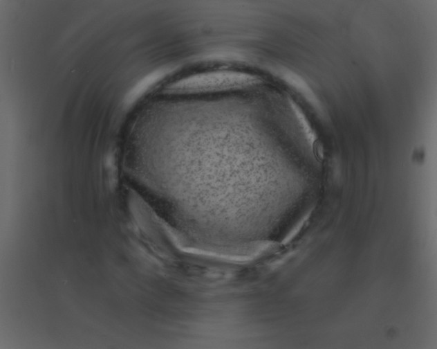 X0000094960872200712131643