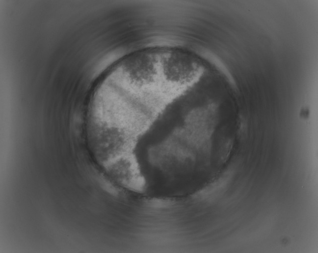 X0000094960874200712131643