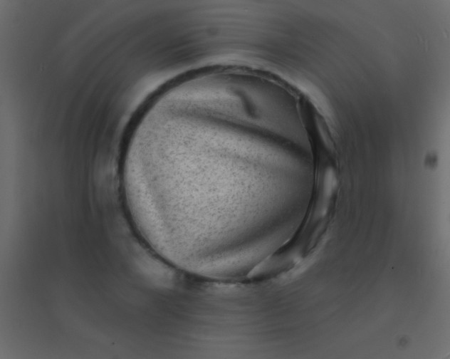 X0000094960880200712131643