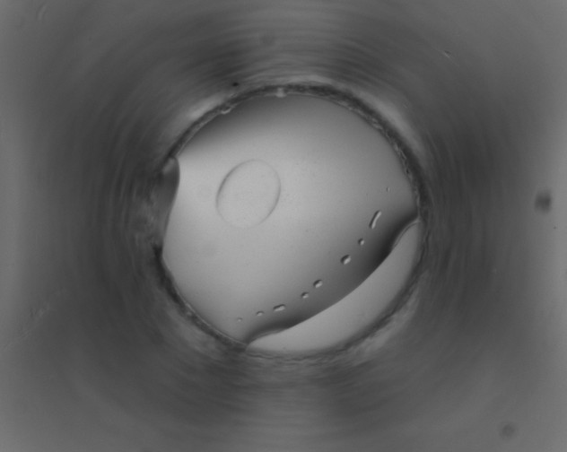 X0000094960881200712131643