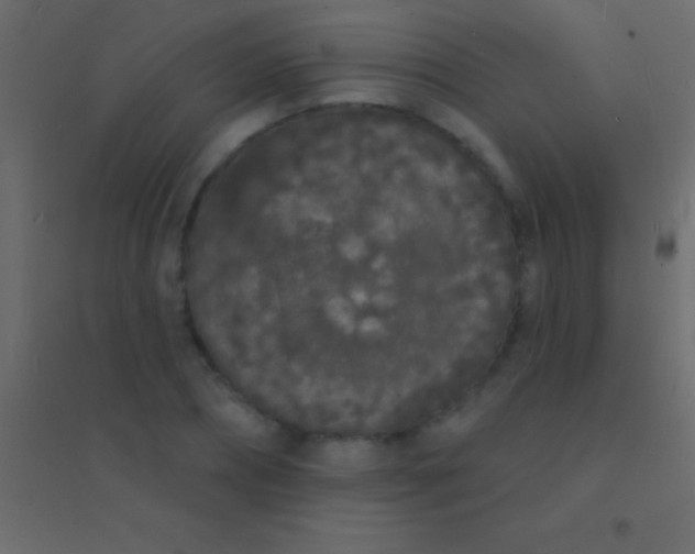 X0000094960882200712131643