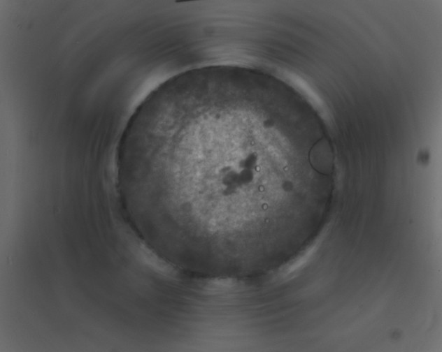 X0000094960883200712131643