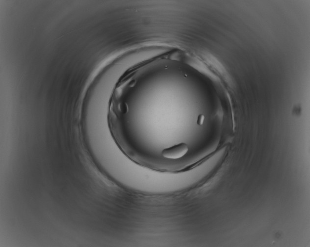 X0000094960884200712131643