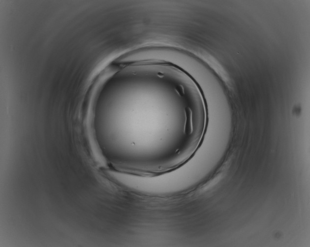 X0000094960885200712131643