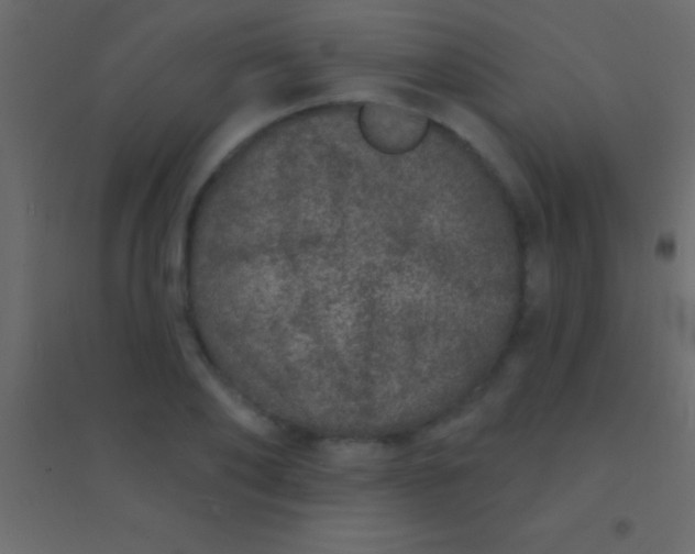 X0000094960886200712131642