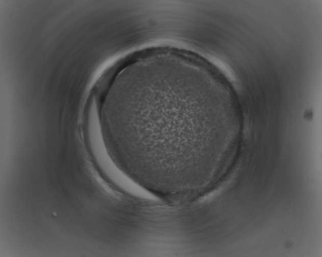 X0000094960888200712131642