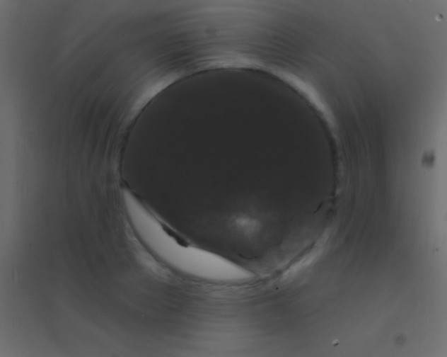 X0000094960889200712131642