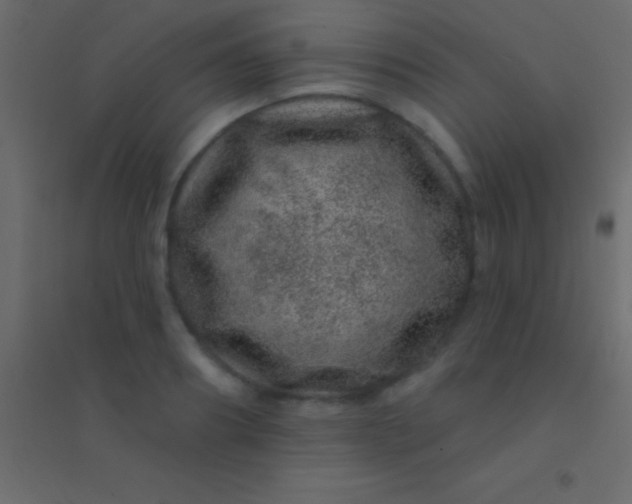 X0000094960890200712131642