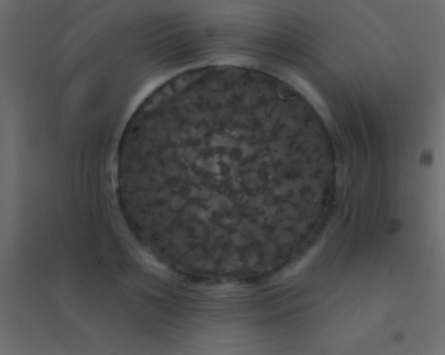 X0000094960891200712131642