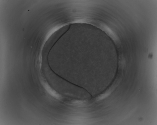 X0000094960892200712131642