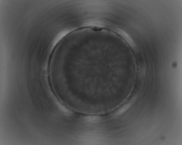 X0000094960893200712131642