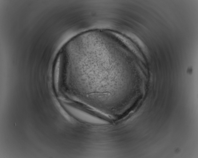 X0000094960894200712131642