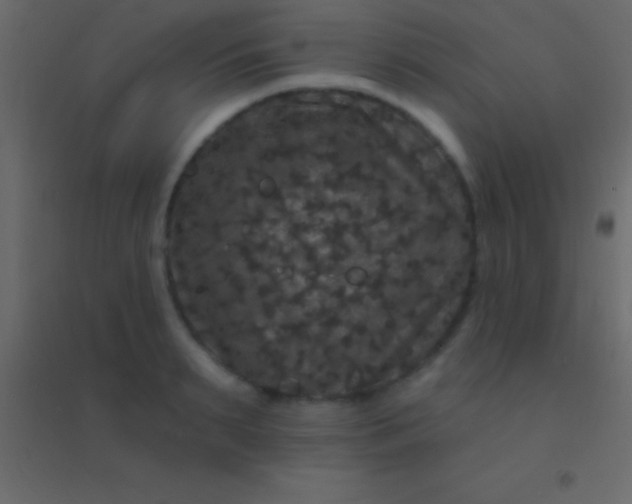 X0000094960895200712131642